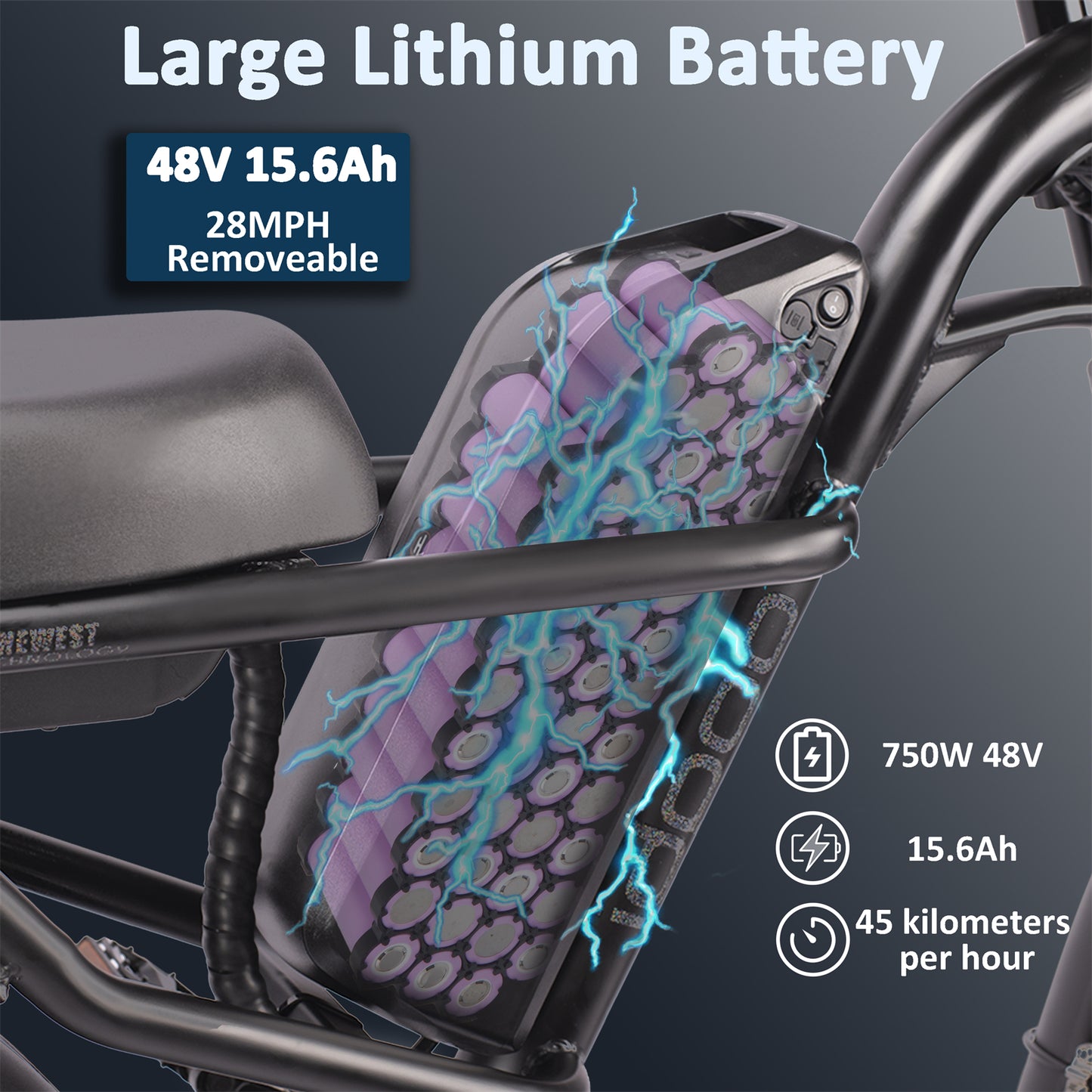 IDPOO IM-J1 20" Fat Tires Electric Bike 750W Brushless Motor 48V 15Ah Battery