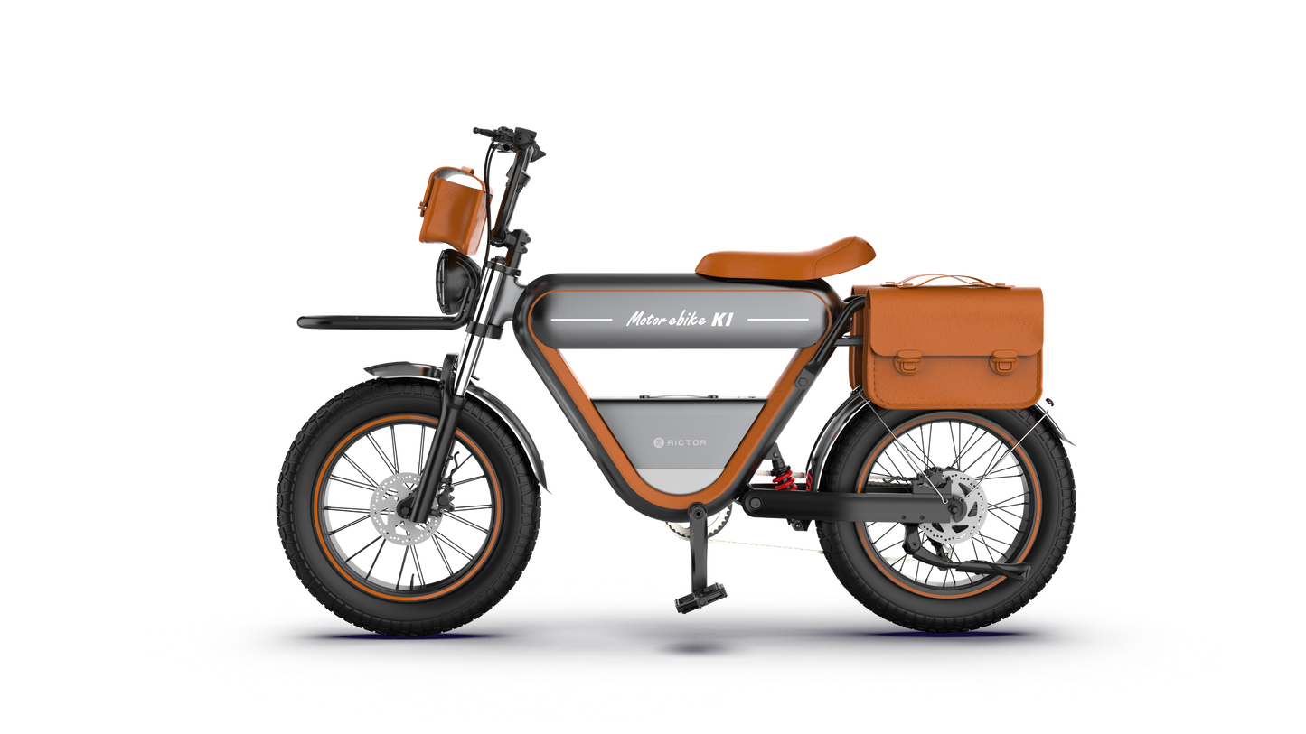 Rictor K1 Fat Tires Electric Bike 250W Brushless Motor 48V 15Ah Battery