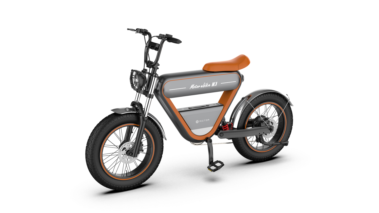 Rictor K1 Fat Tires Electric Bike 250W Brushless Motor 48V 15Ah Battery